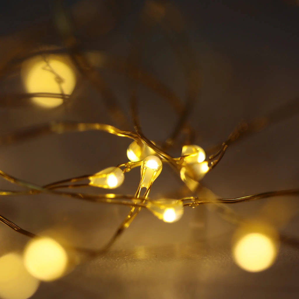 Guirlande Lumineuse LED extérieure & intérieure étanche avec télécommande Fééries Mancelya