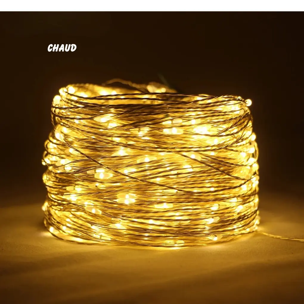 Guirlande Lumineuse LED extérieure & intérieure étanche avec télécommande Fééries Mancelya