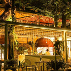 Rideau solaire guirlande lumineuse extérieure Fééries Mancelya