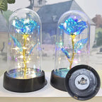 Rose éternelle lumineuse LED sous cloche en verre Fééries Mancelya