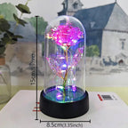 Rose éternelle lumineuse LED sous cloche en verre Fééries Mancelya
