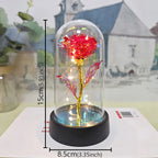 Rose éternelle lumineuse LED sous cloche en verre Fééries Mancelya
