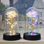 Rose éternelle lumineuse LED sous cloche en verre Fééries Mancelya