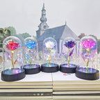 Rose éternelle lumineuse LED sous cloche en verre Fééries Mancelya