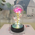 Rose éternelle lumineuse LED sous cloche en verre Fééries Mancelya