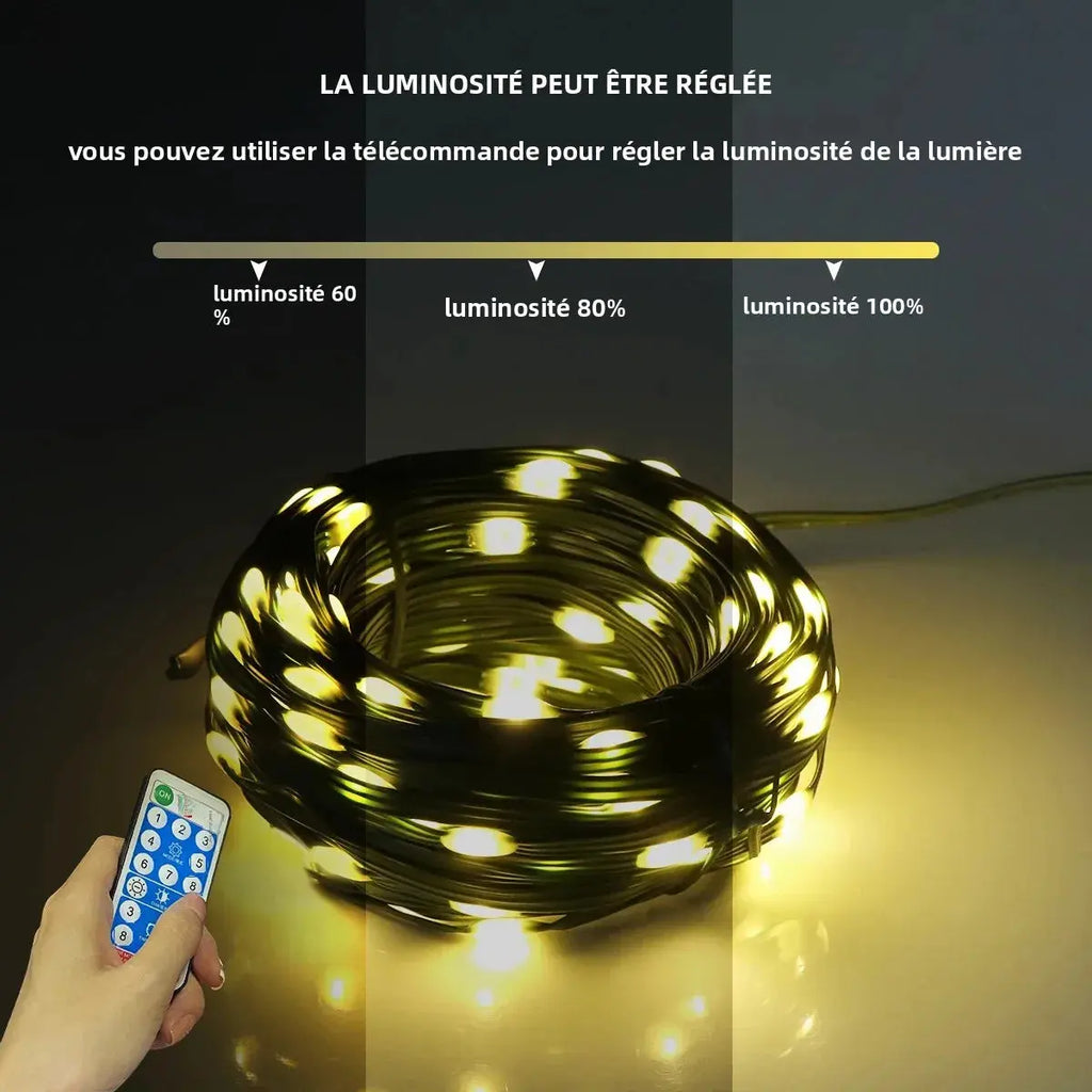 Guirlande lumineuse LED solaire & secteur – étanche avec télécommande Fééries Mancelya