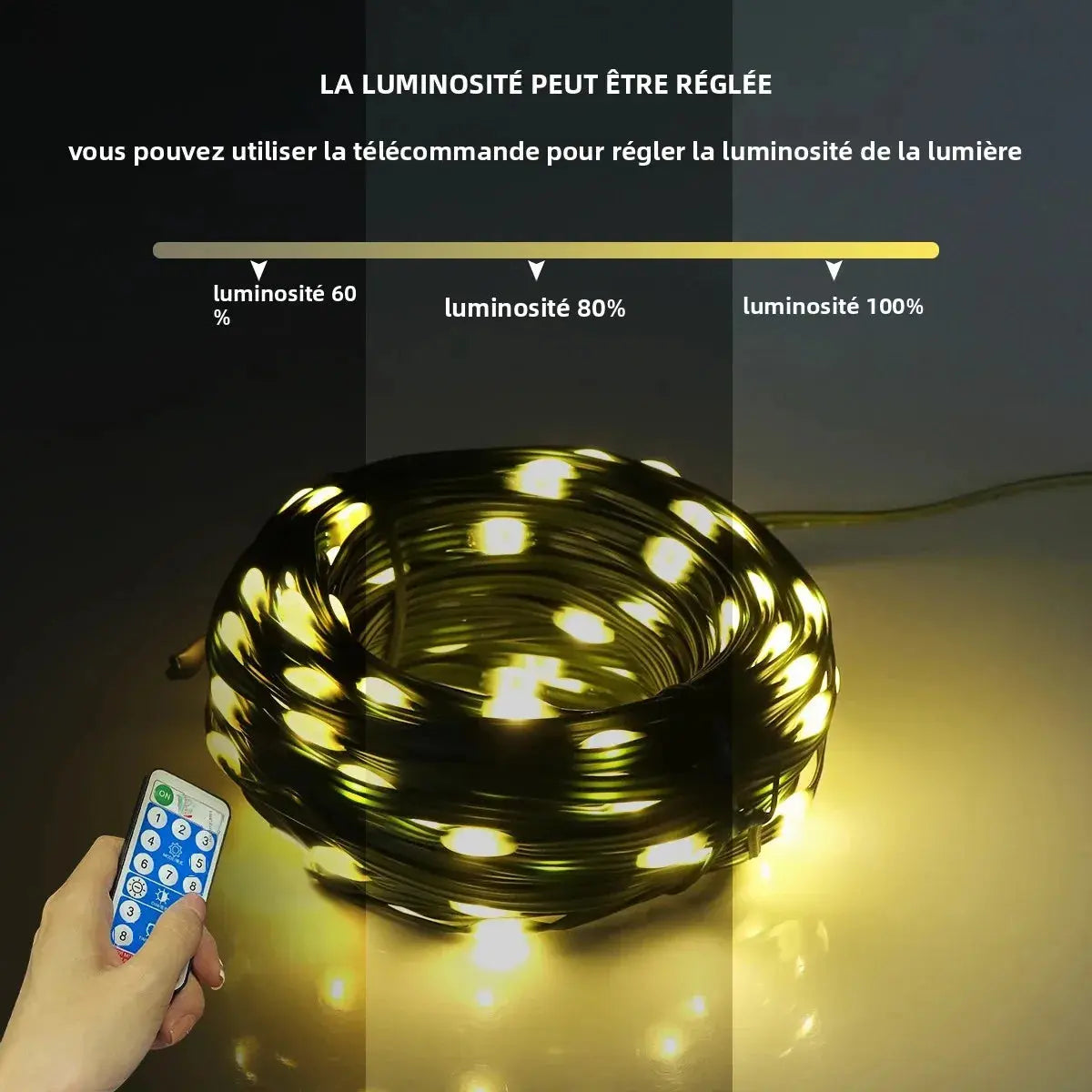 Guirlande lumineuse LED solaire & secteur – étanche avec télécommande Fééries Mancelya