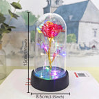 Rose éternelle lumineuse LED sous cloche en verre Fééries Mancelya
