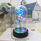 Rose éternelle lumineuse LED sous cloche en verre Fééries Mancelya