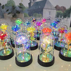 Rose éternelle lumineuse LED sous cloche en verre Fééries Mancelya